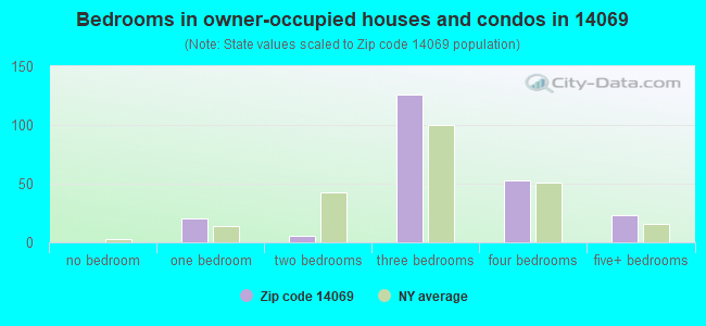 Bedrooms in owner-occupied houses and condos in 14069 