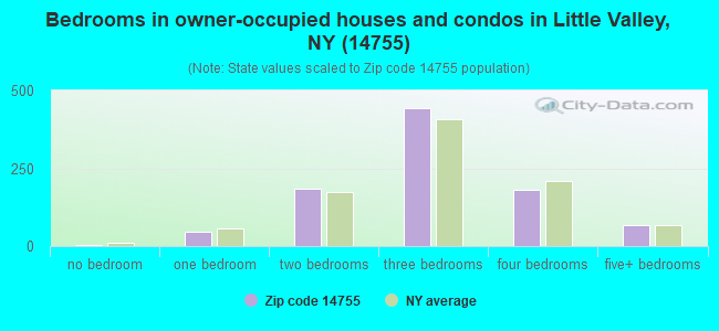 Bedrooms in owner-occupied houses and condos in Little Valley, NY (14755) 