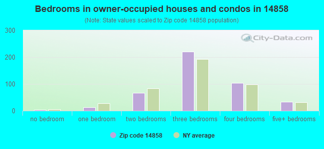 Bedrooms in owner-occupied houses and condos in 14858 