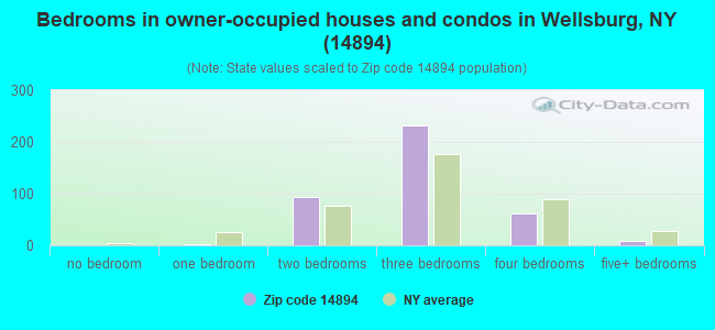 Bedrooms in owner-occupied houses and condos in Wellsburg, NY (14894) 
