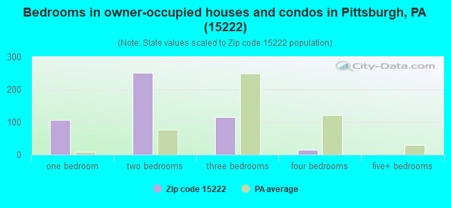 Bedrooms in owner-occupied houses and condos in Pittsburgh, PA (15222) 