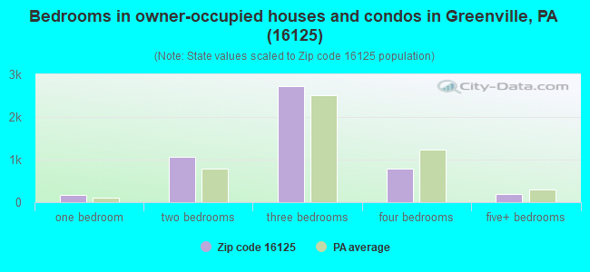 Bedrooms in owner-occupied houses and condos in Greenville, PA (16125) 