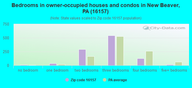 Bedrooms in owner-occupied houses and condos in New Beaver, PA (16157) 
