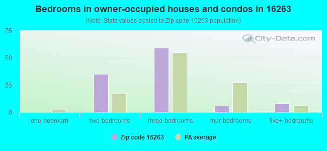 Bedrooms in owner-occupied houses and condos in 16263 