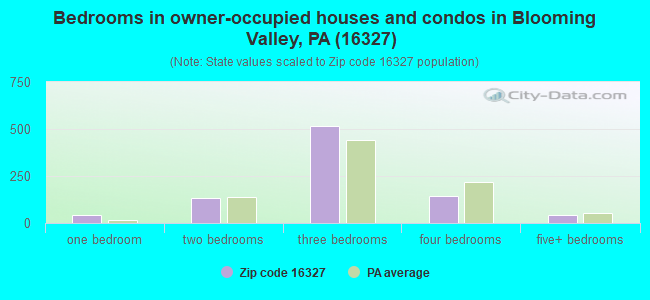Bedrooms in owner-occupied houses and condos in Blooming Valley, PA (16327) 