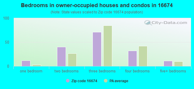 Bedrooms in owner-occupied houses and condos in 16674 