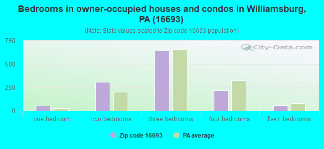 Bedrooms in owner-occupied houses and condos in Williamsburg, PA (16693) 