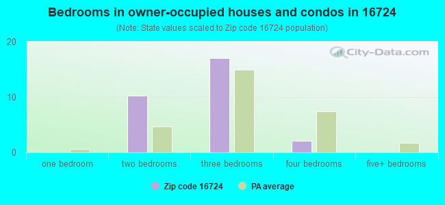 Bedrooms in owner-occupied houses and condos in 16724 