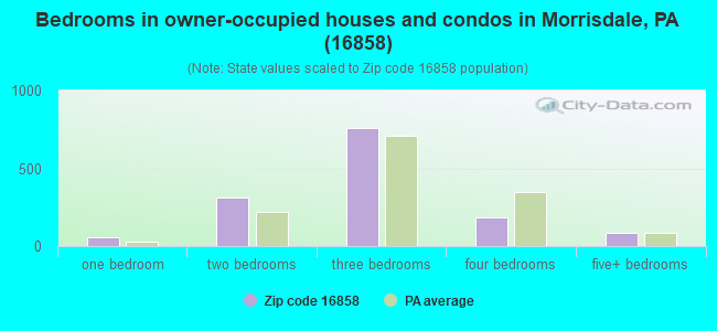 Bedrooms in owner-occupied houses and condos in Morrisdale, PA (16858) 