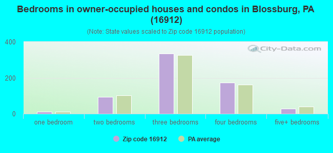 Bedrooms in owner-occupied houses and condos in Blossburg, PA (16912) 