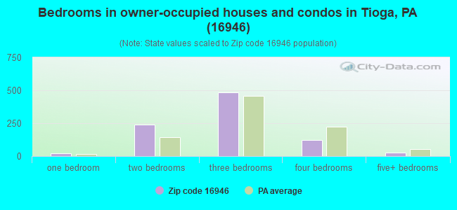 Bedrooms in owner-occupied houses and condos in Tioga, PA (16946) 