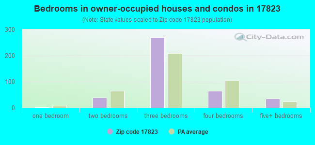 Bedrooms in owner-occupied houses and condos in 17823 
