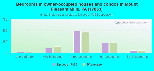 Bedrooms in owner-occupied houses and condos in Mount Pleasant Mills, PA (17853) 
