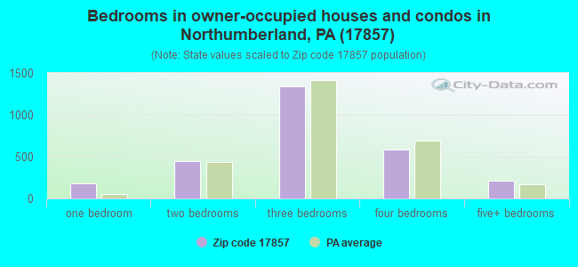 Bedrooms in owner-occupied houses and condos in Northumberland, PA (17857) 