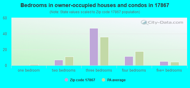 Bedrooms in owner-occupied houses and condos in 17867 