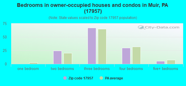 Bedrooms in owner-occupied houses and condos in Muir, PA (17957) 