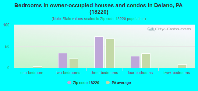 Bedrooms in owner-occupied houses and condos in Delano, PA (18220) 
