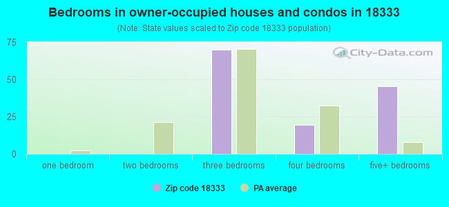 Bedrooms in owner-occupied houses and condos in 18333 