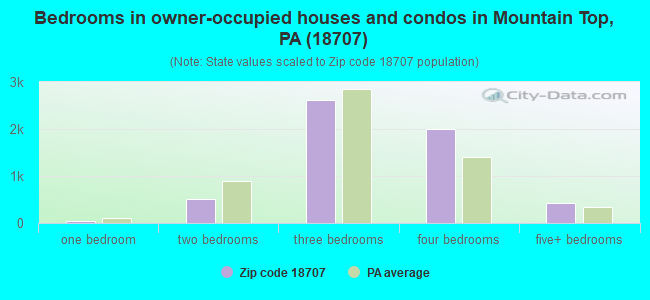Bedrooms in owner-occupied houses and condos in Mountain Top, PA (18707) 