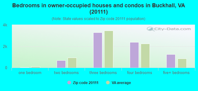 Bedrooms in owner-occupied houses and condos in Buckhall, VA (20111) 