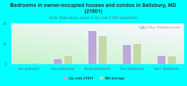 Bedrooms in owner-occupied houses and condos in Salisbury, MD (21801) 