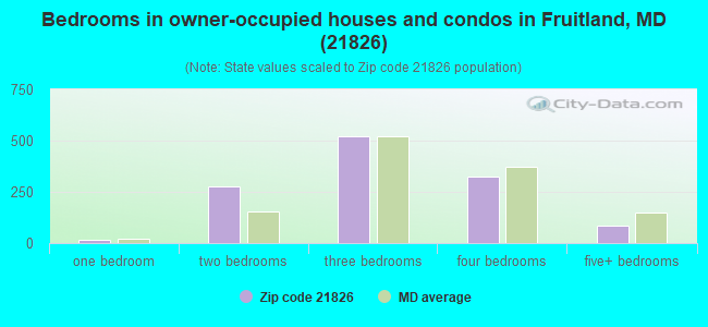 Bedrooms in owner-occupied houses and condos in Fruitland, MD (21826) 