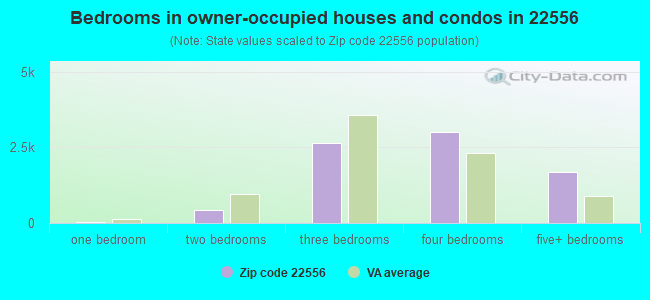 Bedrooms in owner-occupied houses and condos in 22556 