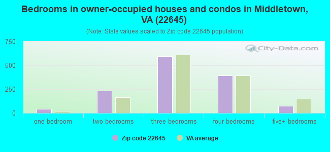 Bedrooms in owner-occupied houses and condos in Middletown, VA (22645) 