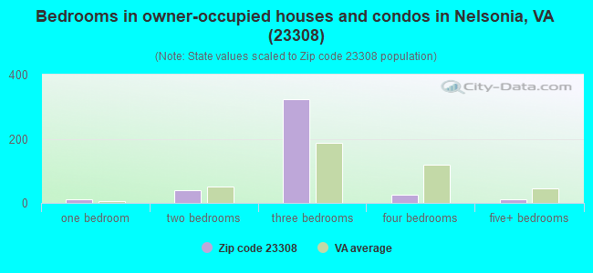 Bedrooms in owner-occupied houses and condos in Nelsonia, VA (23308) 