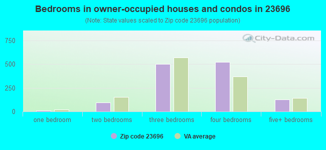 Bedrooms in owner-occupied houses and condos in 23696 