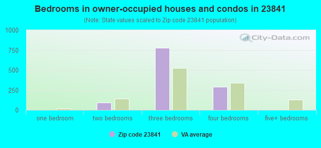Bedrooms in owner-occupied houses and condos in 23841 