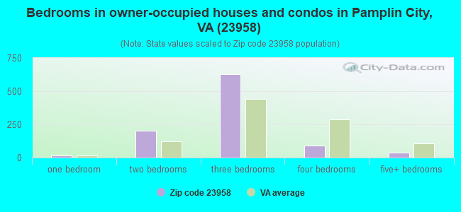 Bedrooms in owner-occupied houses and condos in Pamplin City, VA (23958) 
