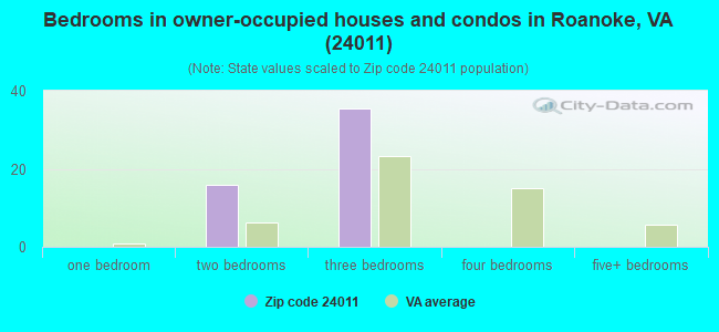 Bedrooms in owner-occupied houses and condos in Roanoke, VA (24011) 