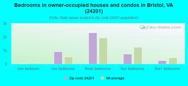 Bedrooms in owner-occupied houses and condos in Bristol, VA (24201) 