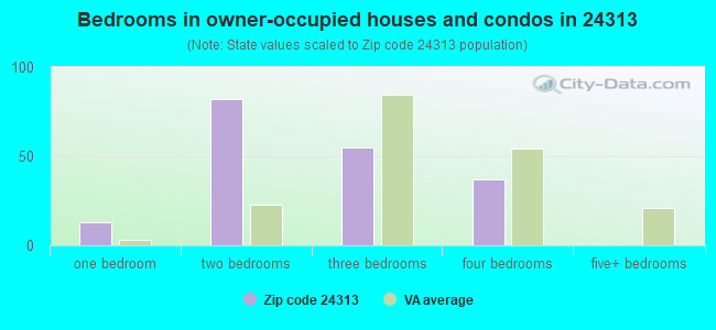 Bedrooms in owner-occupied houses and condos in 24313 
