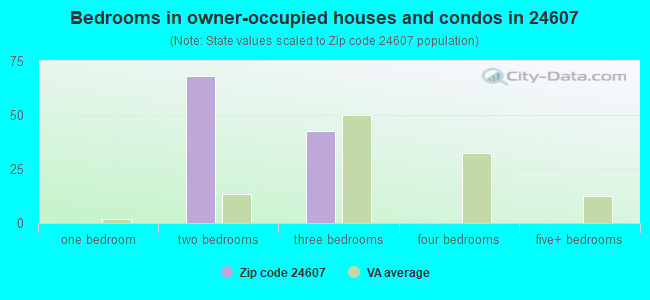 Bedrooms in owner-occupied houses and condos in 24607 