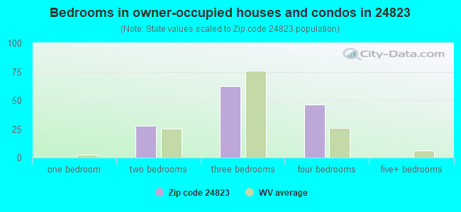 Bedrooms in owner-occupied houses and condos in 24823 