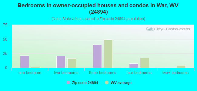 Bedrooms in owner-occupied houses and condos in War, WV (24894) 