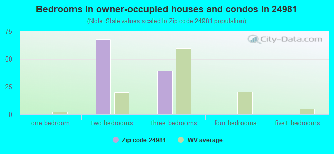 Bedrooms in owner-occupied houses and condos in 24981 