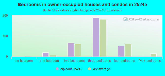 Bedrooms in owner-occupied houses and condos in 25245 