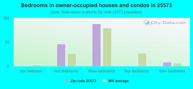 Bedrooms in owner-occupied houses and condos in 25573 