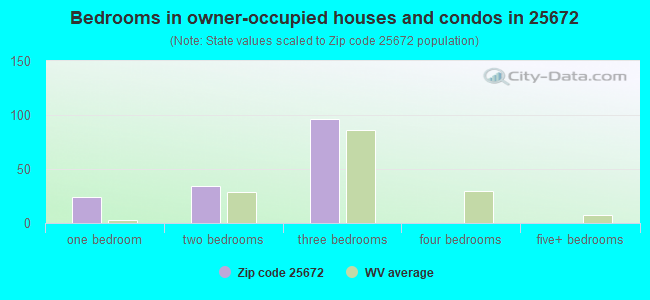 Bedrooms in owner-occupied houses and condos in 25672 