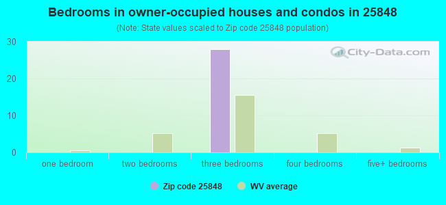 Bedrooms in owner-occupied houses and condos in 25848 