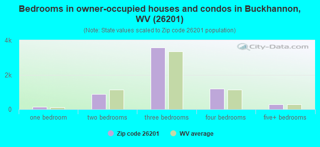 Bedrooms in owner-occupied houses and condos in Buckhannon, WV (26201) 