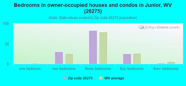 Bedrooms in owner-occupied houses and condos in Junior, WV (26275) 
