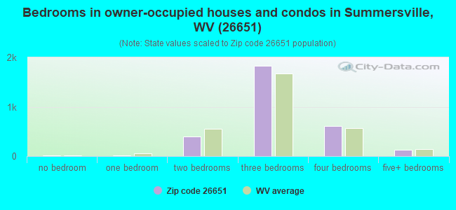 Bedrooms in owner-occupied houses and condos in Summersville, WV (26651) 