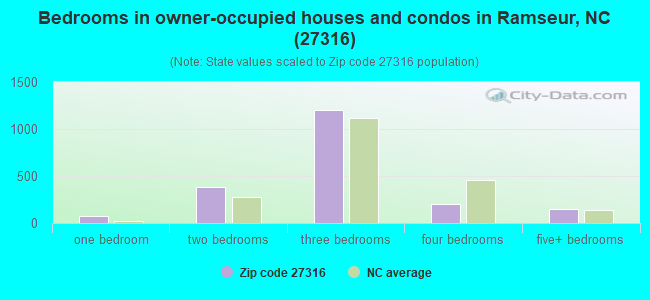 Bedrooms in owner-occupied houses and condos in Ramseur, NC (27316) 