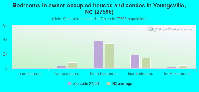 Bedrooms in owner-occupied houses and condos in Youngsville, NC (27596) 