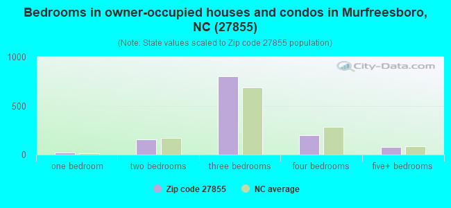 Bedrooms in owner-occupied houses and condos in Murfreesboro, NC (27855) 