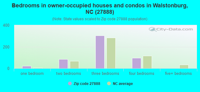 Bedrooms in owner-occupied houses and condos in Walstonburg, NC (27888) 